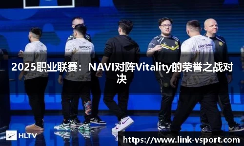 2025职业联赛：NAVI对阵Vitality的荣誉之战对决